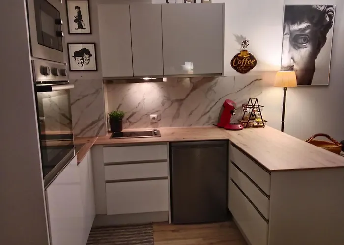 Lay 公寓 萨拉戈萨